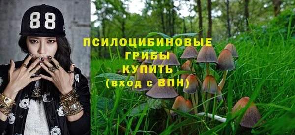 дурь Армянск