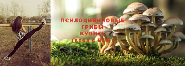гидропоника Сосновка