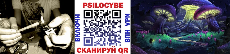 Псилоцибиновые грибы ЛСД  Купить  Будённовск 