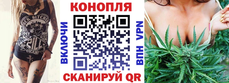 Конопля сатива  Купить где  Будённовск 